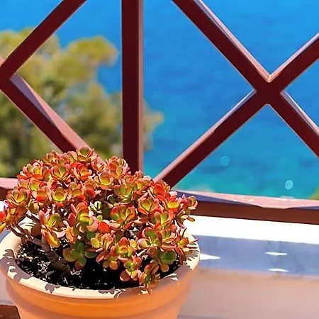 Electra Syros - Adults Only
