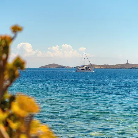 Hotel Electra Syros - Adults Only